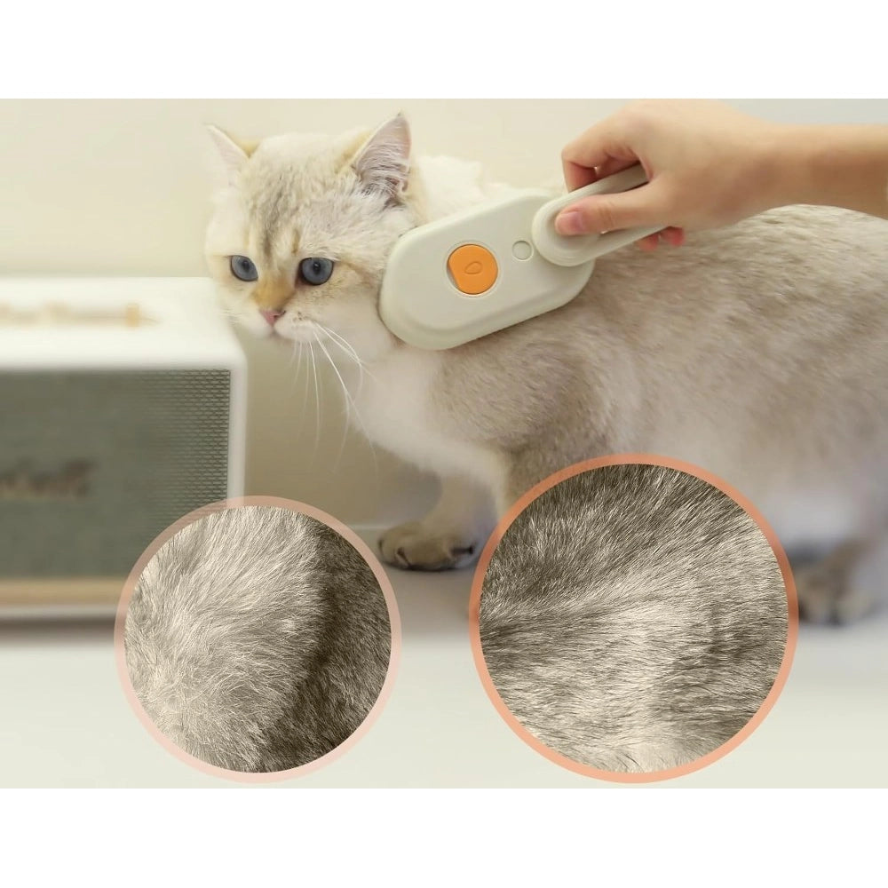 Generic Pack of 2 Pet Brush (Multicolor)